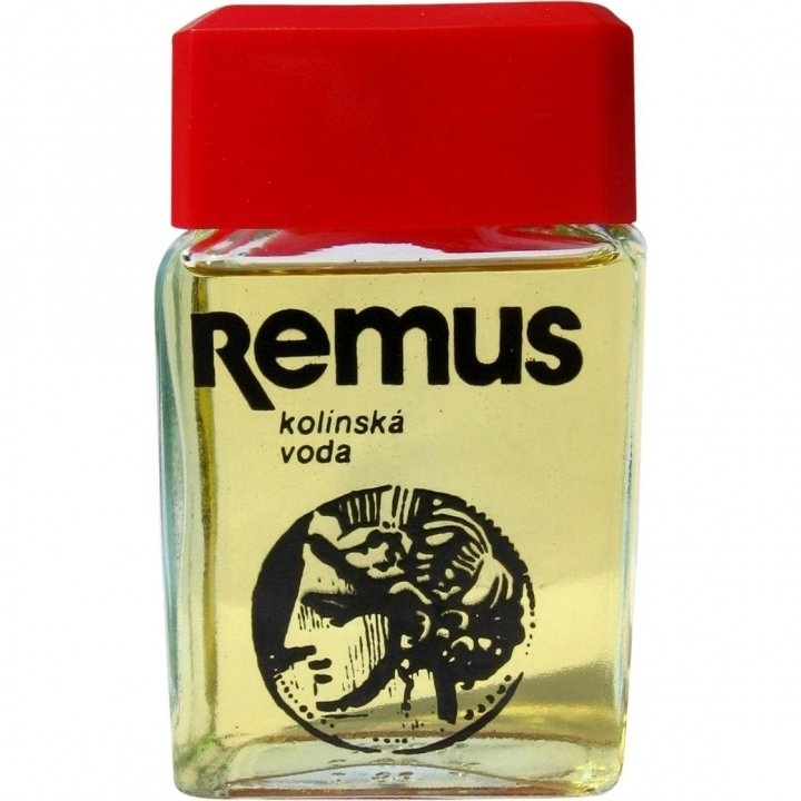 Remus by Astrid