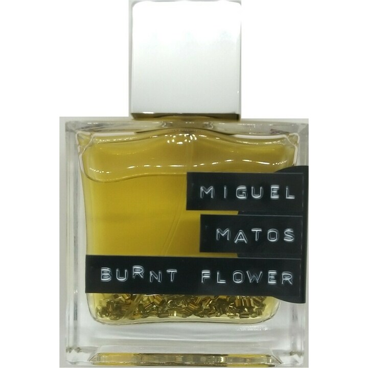 Burnt Flower by Miguel Matos