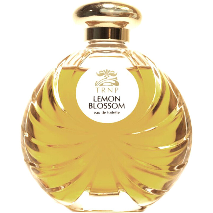 Lemon Blossom von Teone Reinthal Natural Perfume