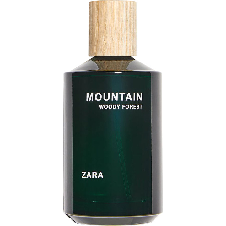 Mountain Woody Forest by Zara