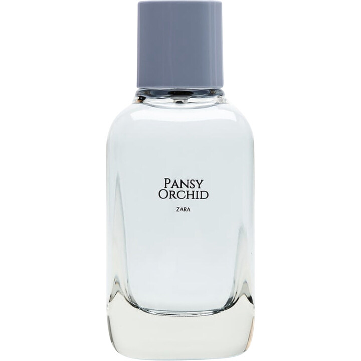 Pansy Orchid von Zara