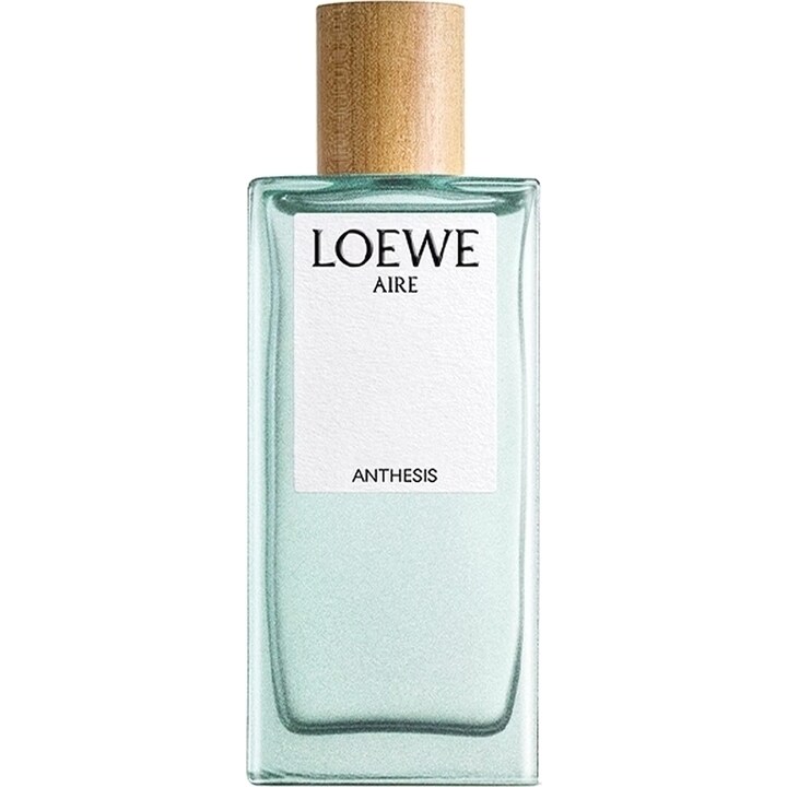 Aire Anthesis von Loewe