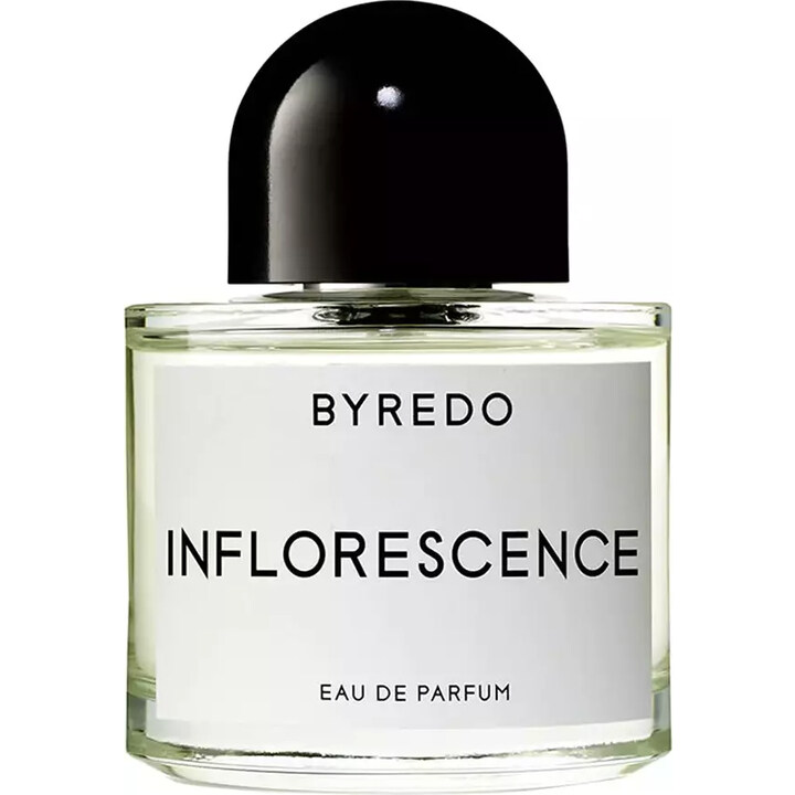 Inflorescence von Byredo