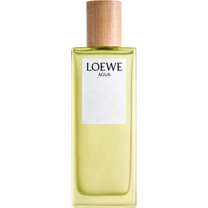 Agua de Loewe von Loewe