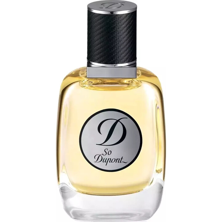 So Dupont pour Homme by S.T. Dupont