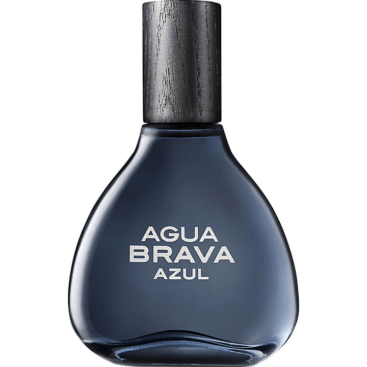Agua Brava Azul by Puig
