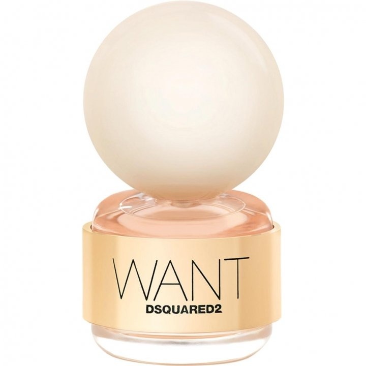 Want by Dsquared²