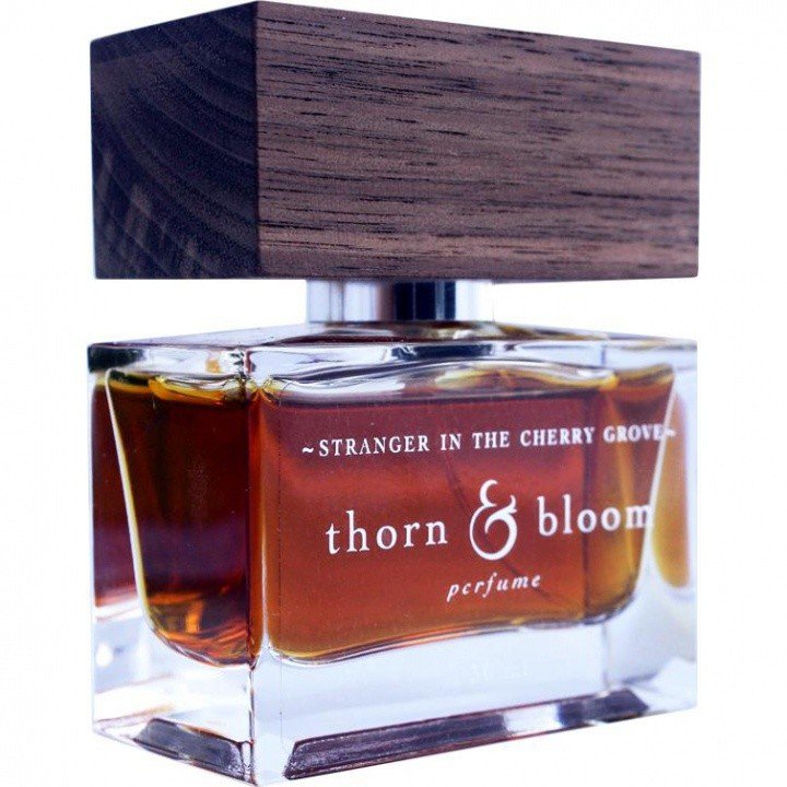 Stranger in the Cherry Grove by Thorn & Bloom