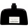 Scent Intense by Costume National