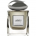 1667 - Luxe Vanilla von The Fragrance Shop