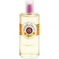 Gingembre by Roger & Gallet