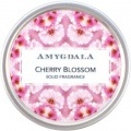 Cherry Blossom by Amygdala