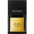 Black Calamus by Carner