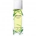 Vetiver by All Good Scents