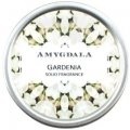 Gardenia by Amygdala