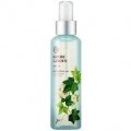 Nature Garden - Watery Ivy by The Face Shop