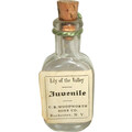 Juvenile - Lily of the Valley by C. B. Woodworth & Sons Co.