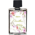 Dianthus by Wild Perfume