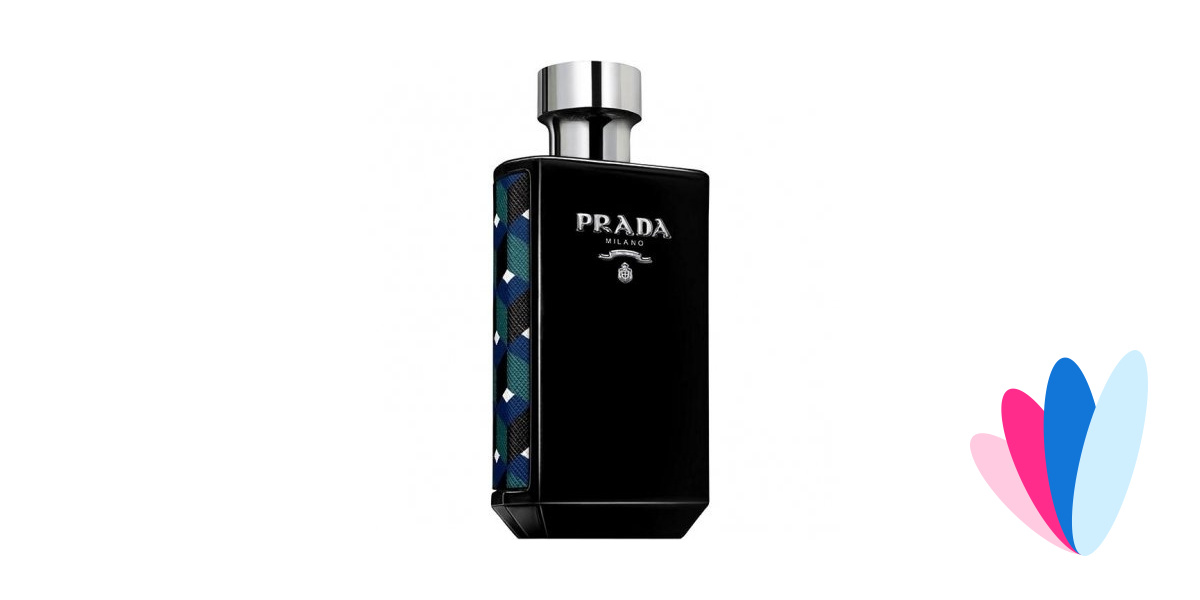 L'Homme Absolu by Prada » Reviews & Perfume Facts