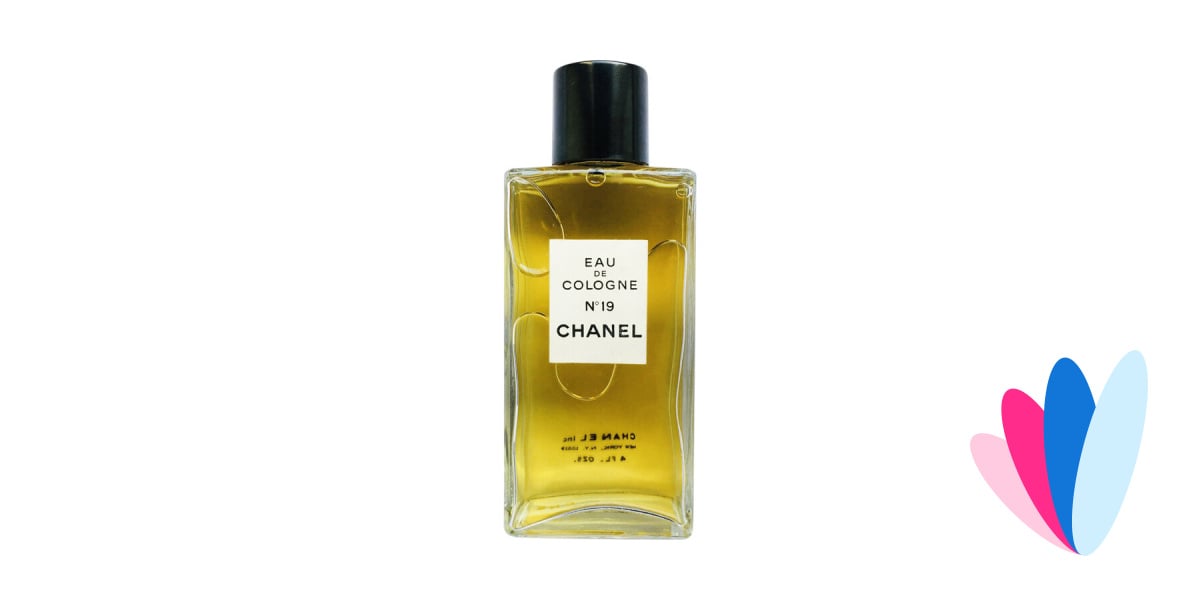 Womens Perfume Chanel N19 POUDRÉ EAU DE PARFUM SPRAY EDP 100 ml   CosmeticsWellness